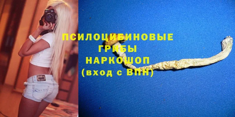 Галлюциногенные грибы Psilocybe  Осташков 